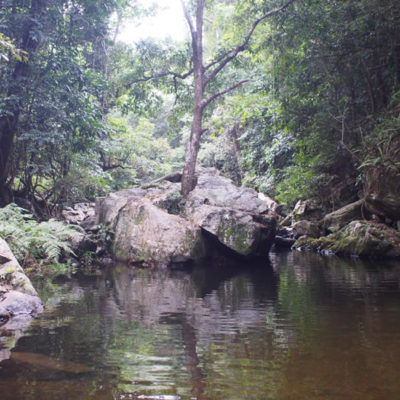 stoney-creek-swimming-hole