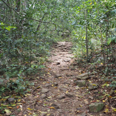 stoney-creek-trail